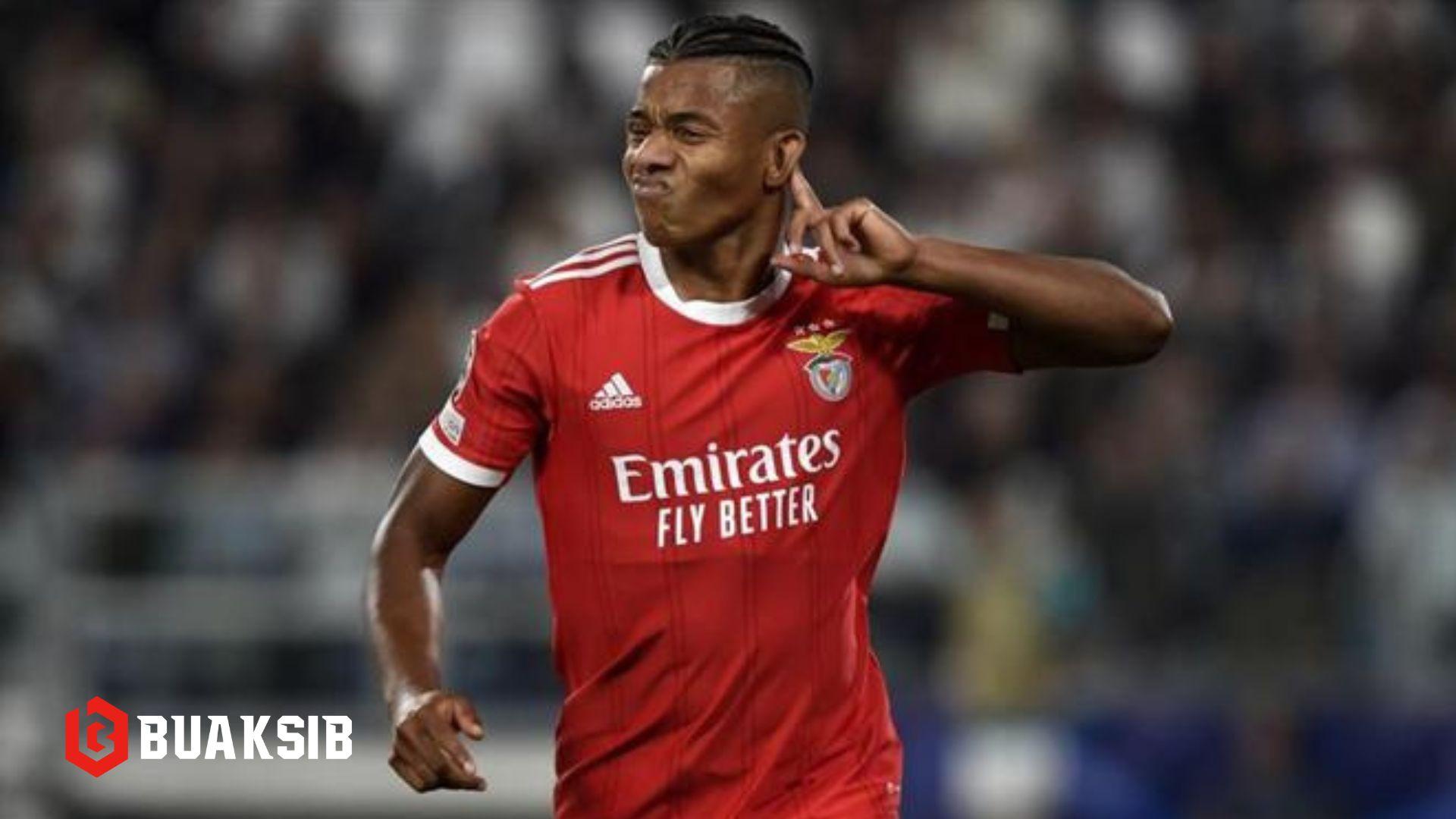 ดาวิด เนเรส