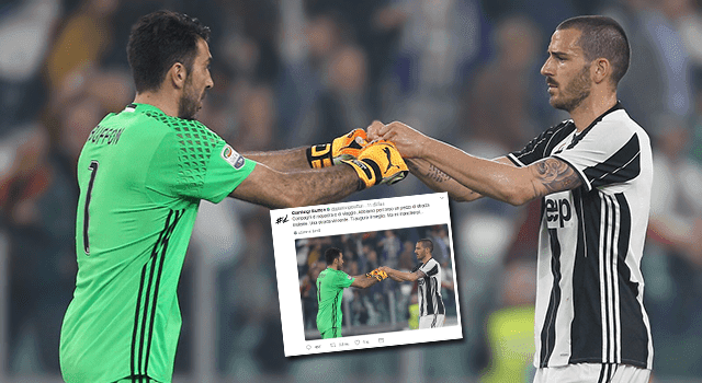 buffon