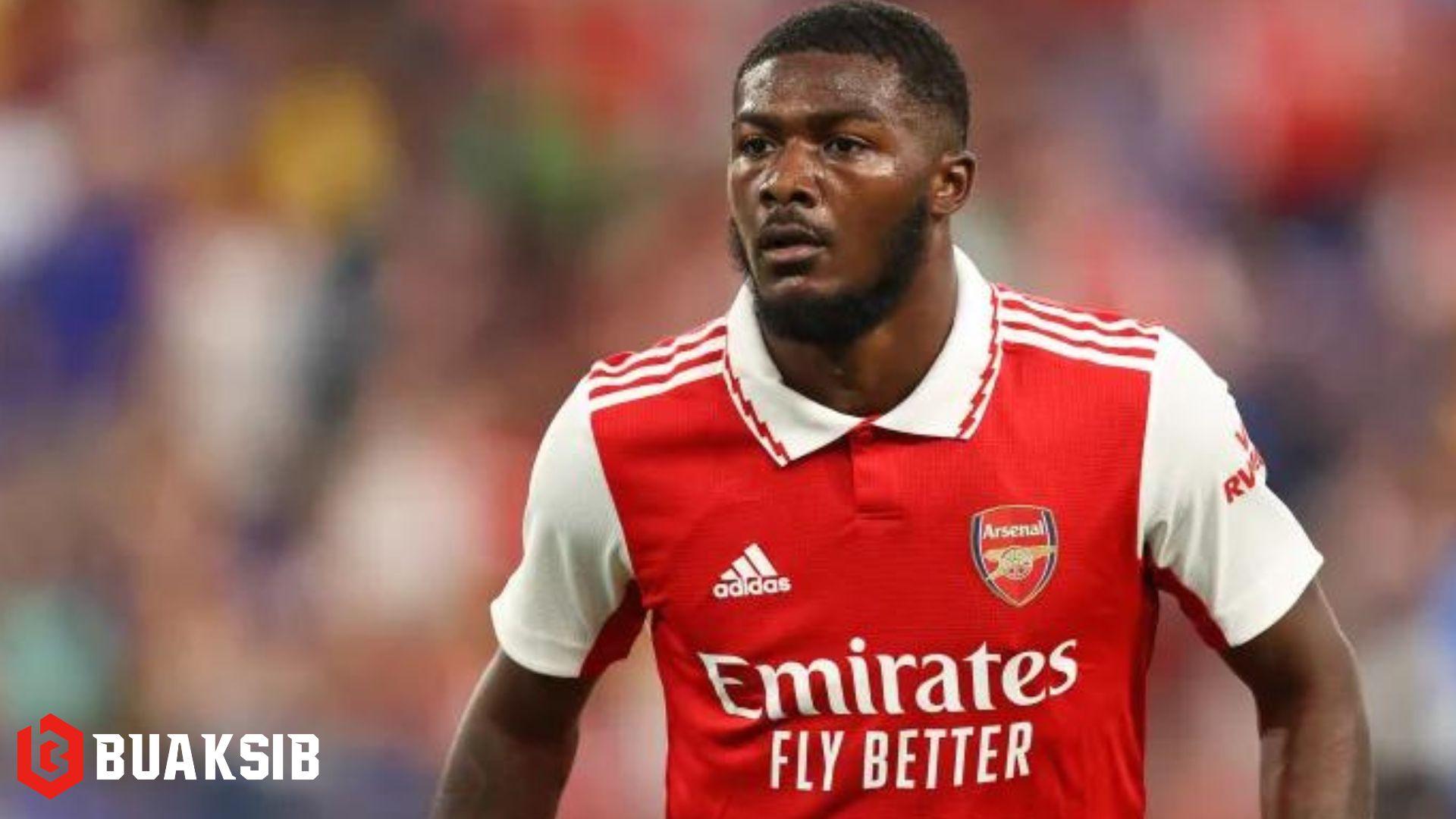 ไอนส์ลีย์ เมตแลนด์ ไนลส์